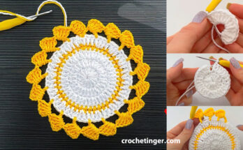 How to Crochet a Round Crochet Model with a Different Beak